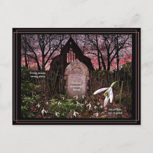Carte postale Snowdrops