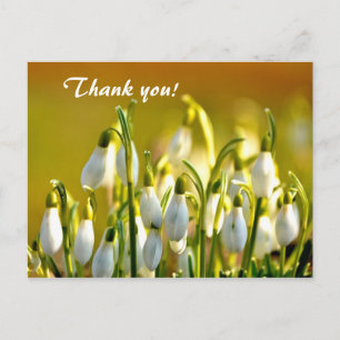 Carte Postale Snowdrops Merci