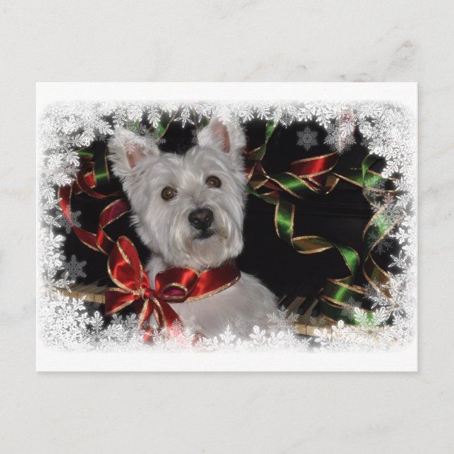 Carte Postale Snowflake Westie (Devant)