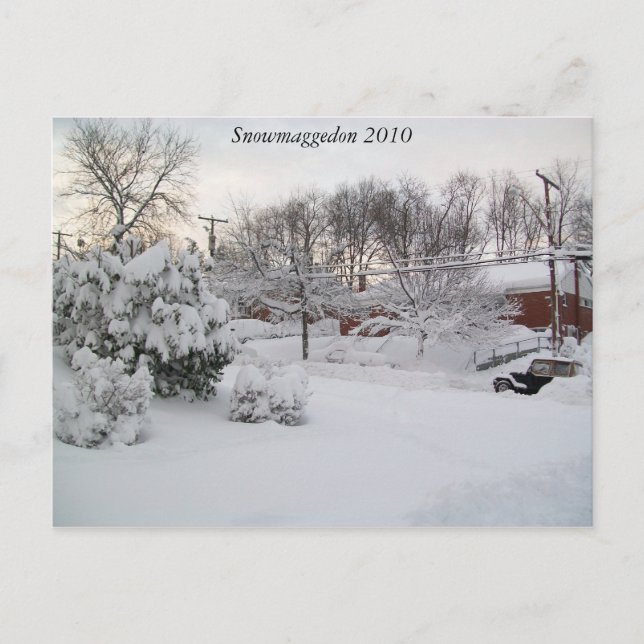 Carte Postale Snowmaggedon 2010 (Devant)