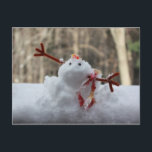 Carte Postale Snowman Fail<br><div class="desc">I grew up in California and then lived in Texas. At the age of 40 I moved to New York. I had experienced snow before, but never like this! I had to try my hand at making a snowman. I was attempting to put his "carrot" (candy corn) nose in when...</div>