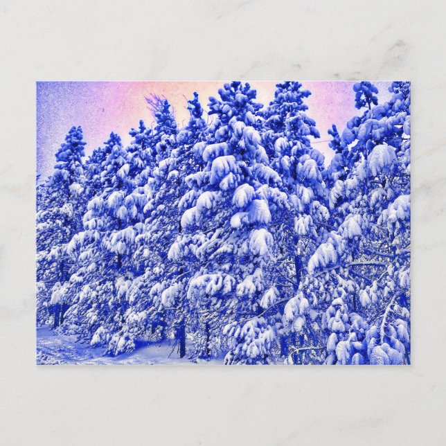Carte Postale Snowscape, Conifer, CO (Devant)