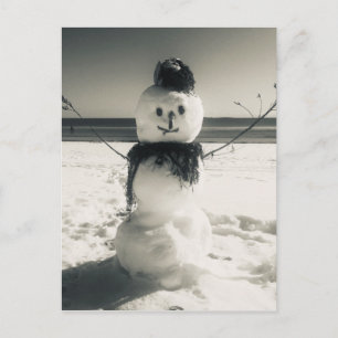 Carte Postale snowshore
