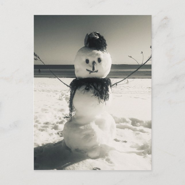Carte Postale snowshore (Devant)