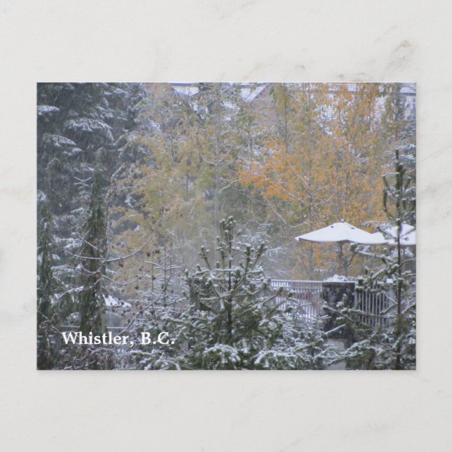Carte Postale Snowy Day à Whistler (C.-B.) (Devant)