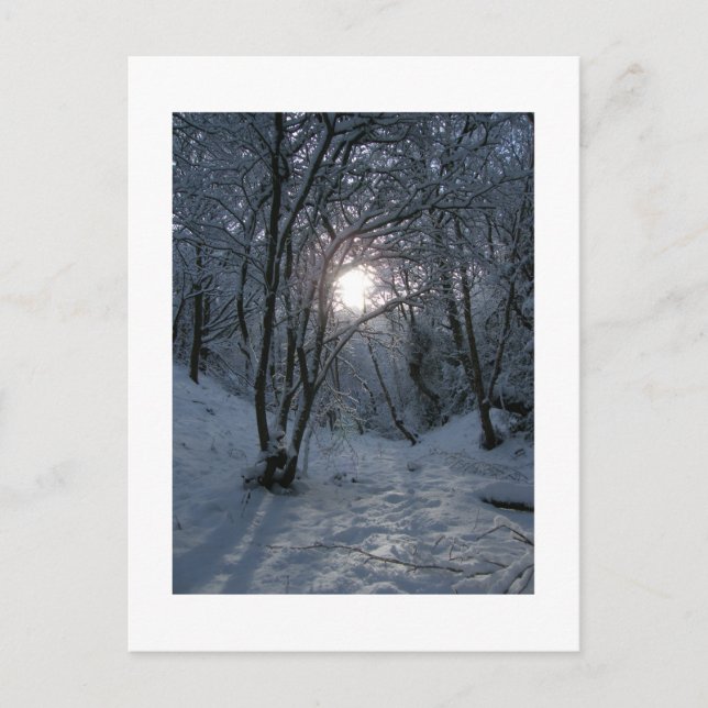Carte Postale Snowy Forest Trail (Devant)