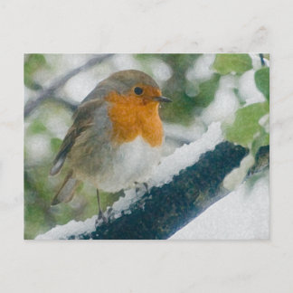 Carte postale Snowy Robin