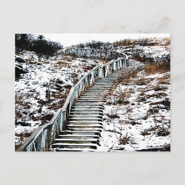 Carte Postale Snowy Staircase Postcard (Devant)