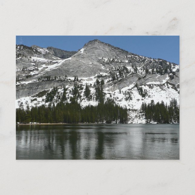 Carte Postale Snowy Tenaya Lake Yosemite National Park Photo (Devant)