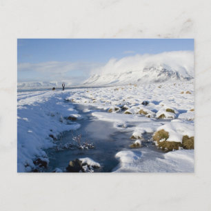 Carte Postale Snowy Winterland