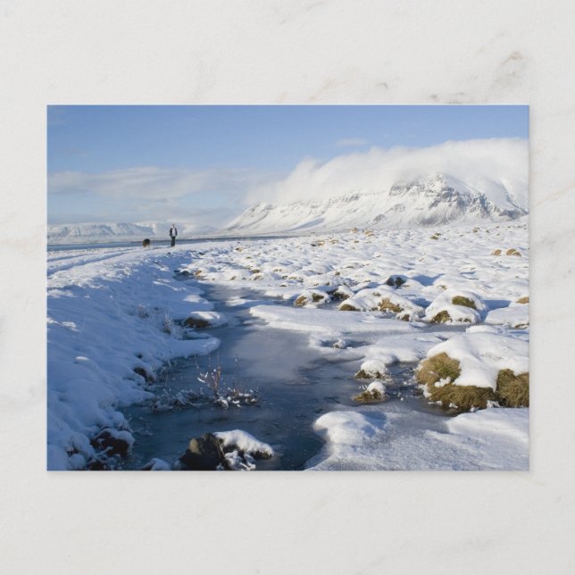 Carte Postale Snowy Winterland (Devant)