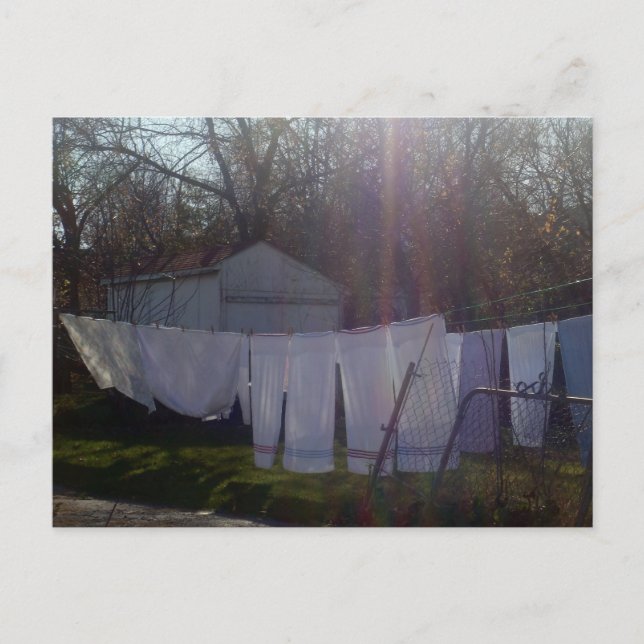 Carte Postale "Soaking Up The Sun" (Devant)