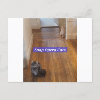 Carte postale Soap Opera Cats