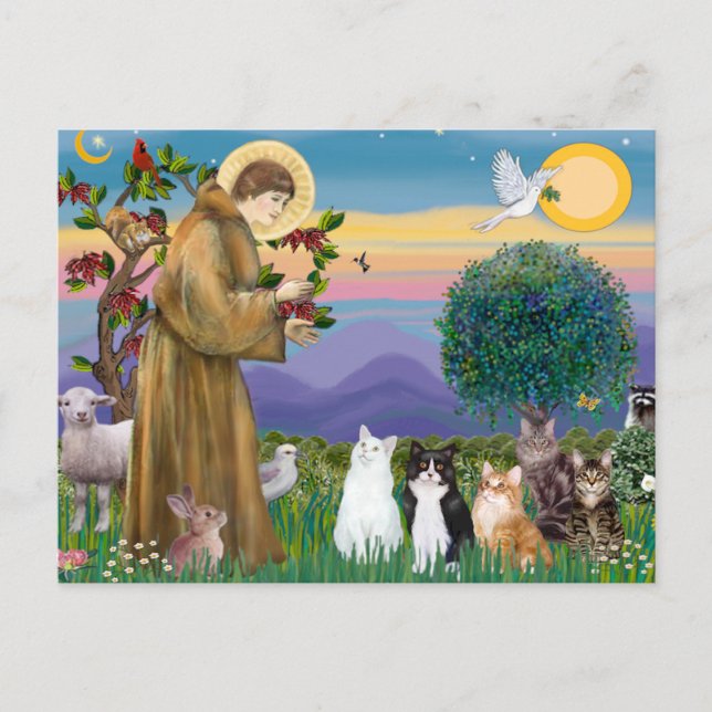 Carte Postale Sœur Frances bénissant 5 chats (Devant)