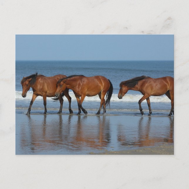 Carte Postale Soeurs de plage (Devant)