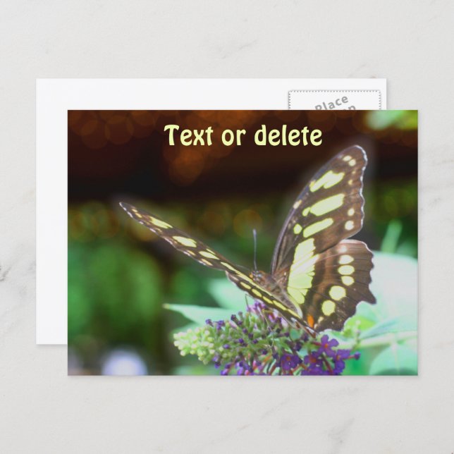 Carte Postale Soft Butterfly On Flower Nature Photo Personalized (Devant / Derrière)