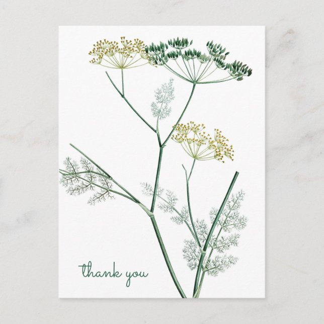 Carte Postale Soft Green Botanical IV - Merci (Devant)