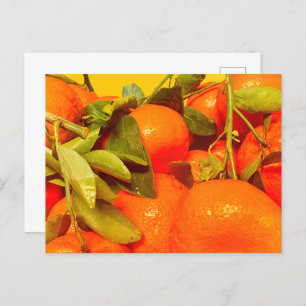 Carte Postale Soft Orange Fruit Aesthétique