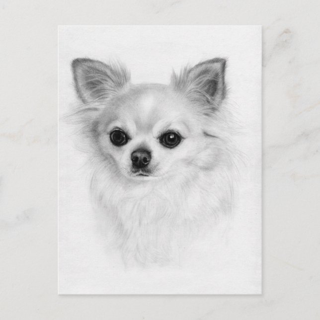 Carte Postale Soigné - Peint à la main Chihuahua Art (Devant)