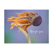 Soin Préoccupation Sentiment Ici pour Vous