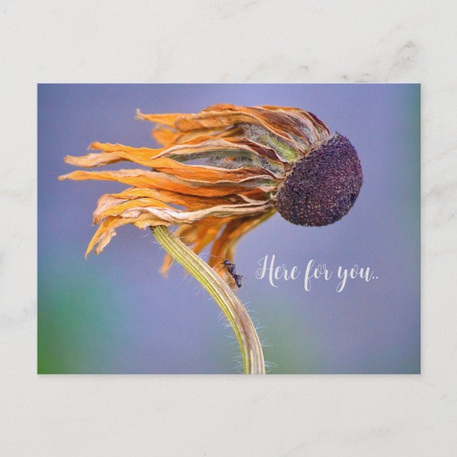 Carte Postale Soin Sentiment Préoccupation Ici pour Vous (Devant)