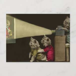 Carte Postale Soirée cinéma