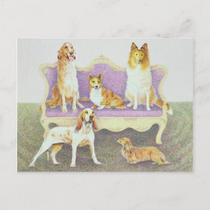 Carte Postale Soiree dans le salon