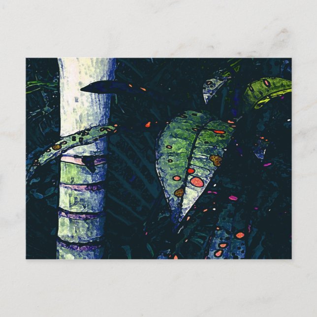 Carte Postale Soirée tropicale (Devant)