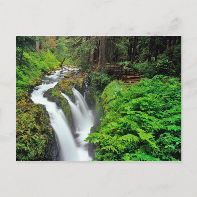 Carte Postale Sol Duc Falls in Olympic National Park in (Devant)