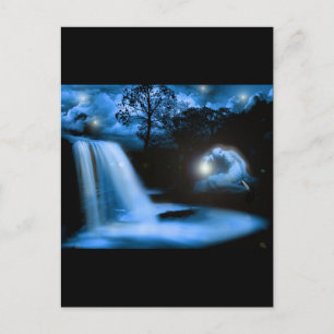 Carte Postale Solace dans le noir