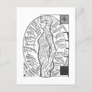 Carte Postale "Solar Chart : The Microcosm" Astrologie zodiaque