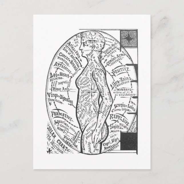 Carte Postale "Solar Chart : The Microcosm" Astrologie zodiaque (Devant)