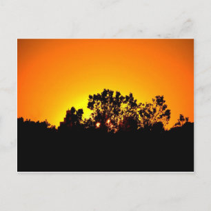 Carte Postale Soleil