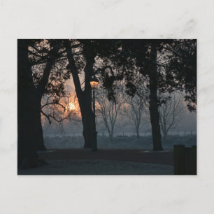 Carte Postale Soleil