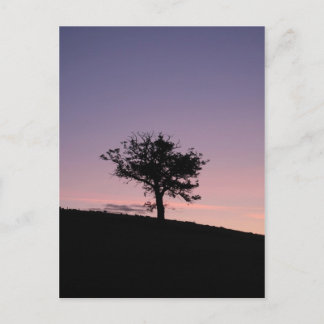 Carte Postale Soleil