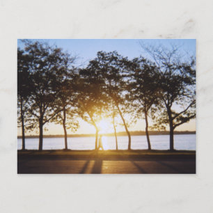 Carte Postale Soleil