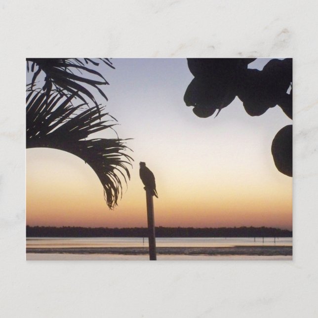 Carte Postale Soleil attentif (Devant)