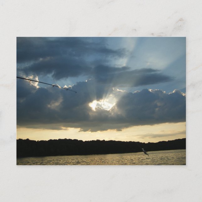Carte Postale Soleil avec poisson (Devant)