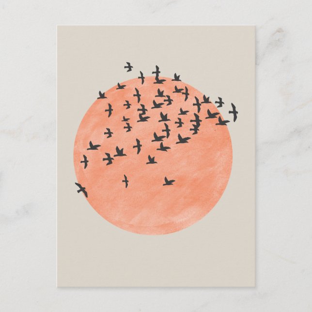 Carte Postale Soleil avec troupeau d'oiseaux (Devant)