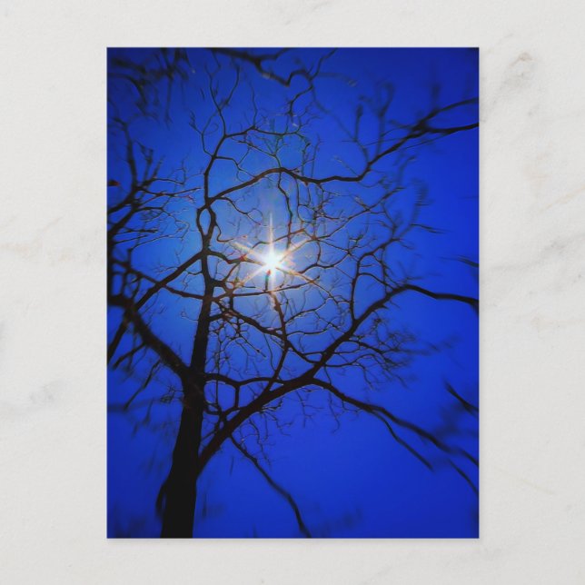 Carte Postale Soleil de minuit (Devant)