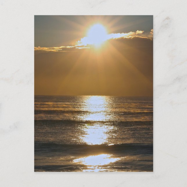 Carte Postale Soleil de Palm Beach (Devant)