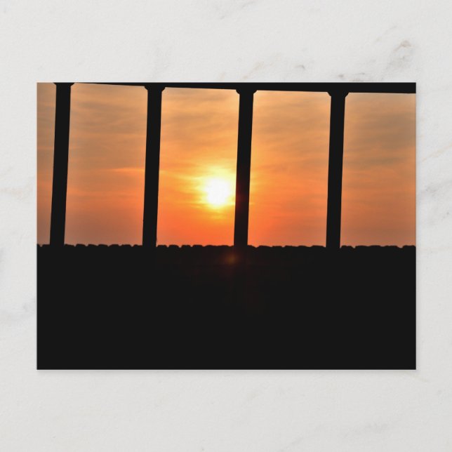 Carte Postale Soleil de prisonnier (Devant)