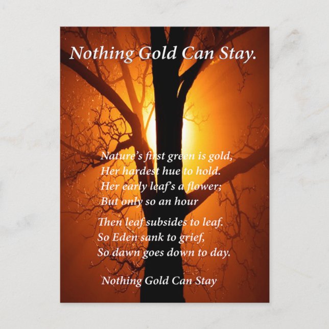 Carte Postale Soleil derrière (Devant)