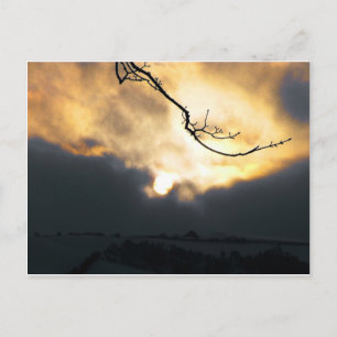 Carte Postale Soleil d'hiver