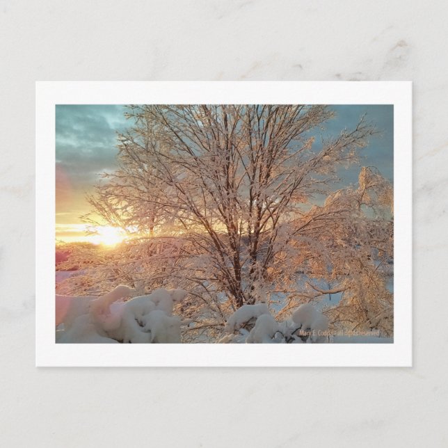 Carte Postale Soleil d'hiver (Devant)