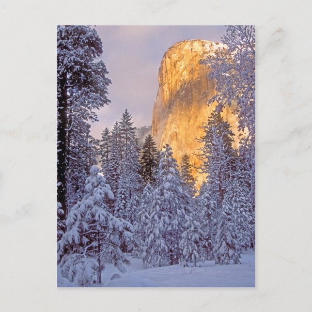 Carte Postale Soleil d'hiver sur El Capitan à Yosemite (Devant)