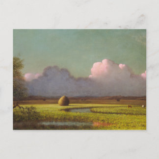 Carte Postale Soleil et ombre, les marais de Newbury
