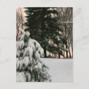 Carte Postale Soleil hivernal