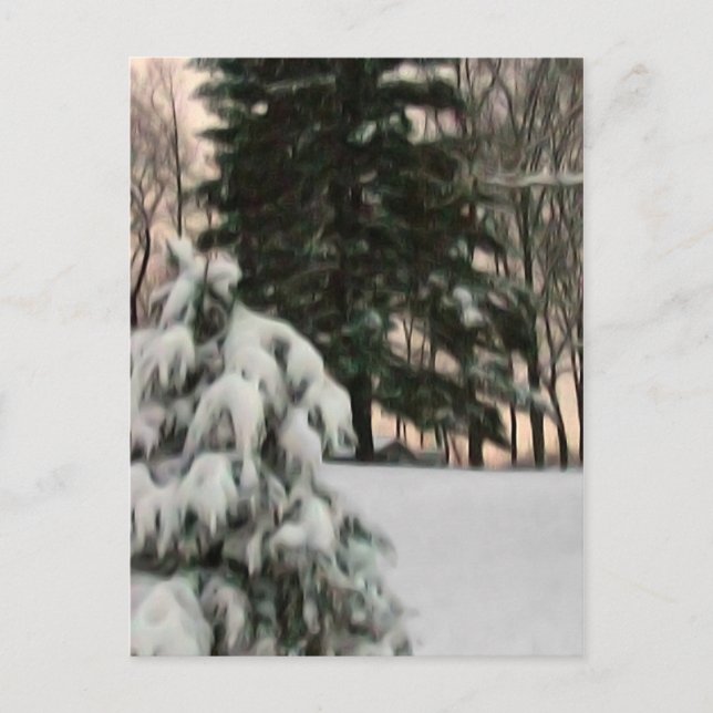 Carte Postale Soleil hivernal (Devant)