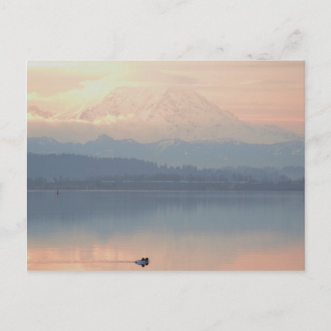 Carte Postale soleil nager lac washington avec Mt Rainier (Devant)